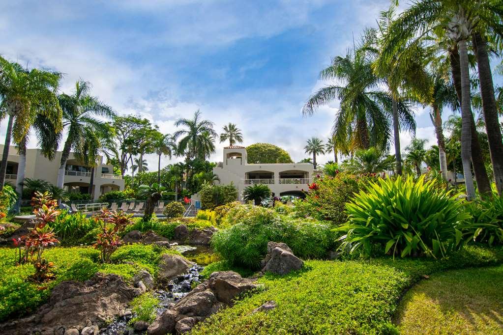 Apartamento Palms At Wailea Wailea  Exterior foto